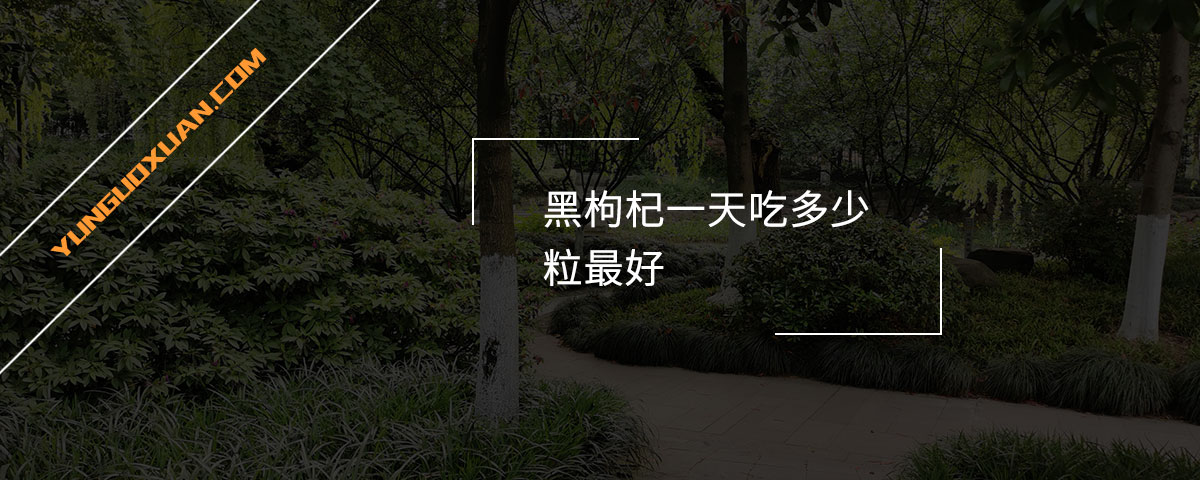 黑枸杞一天吃多少粒最好？