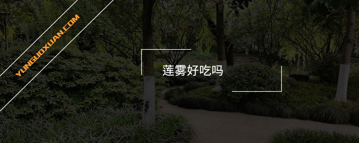 蓮霧好吃嗎？