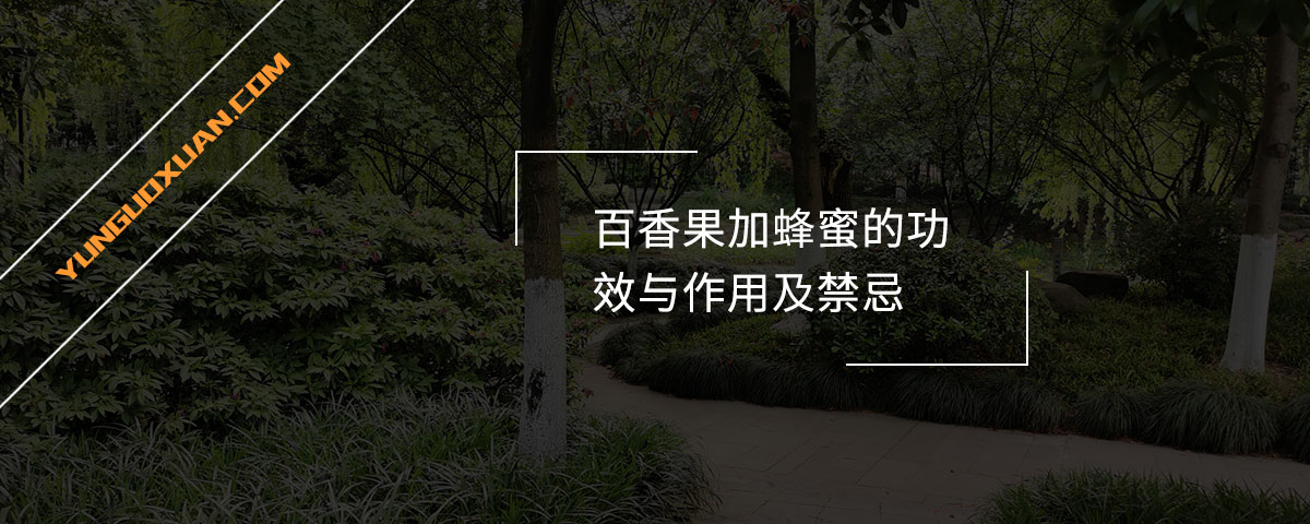 百香果加蜂蜜的功效與作用及禁忌