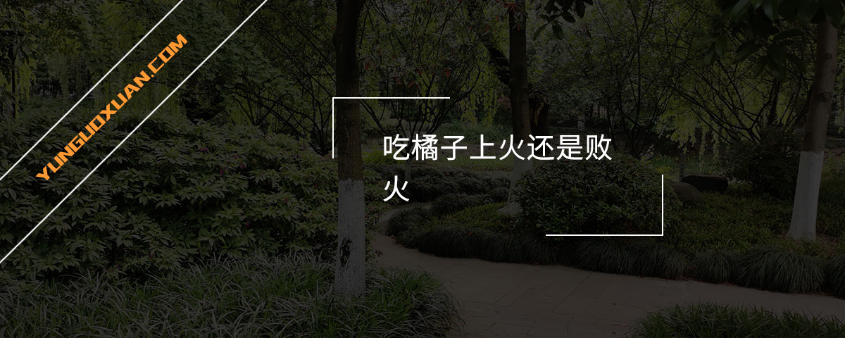 吃橘子上火還是敗火？