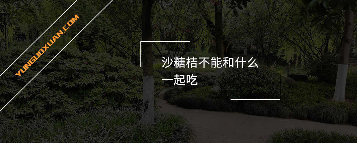 沙糖桔不能和什么一起吃？