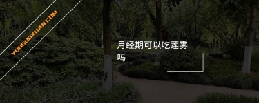 月經(jīng)期可以吃蓮霧嗎？