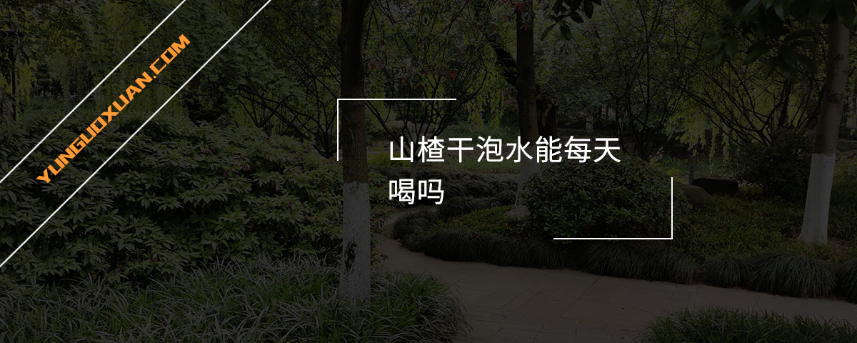 山楂干泡水能每天喝嗎？