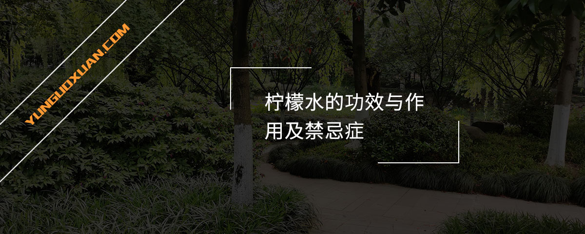 檸檬水的功效與作用及禁忌癥