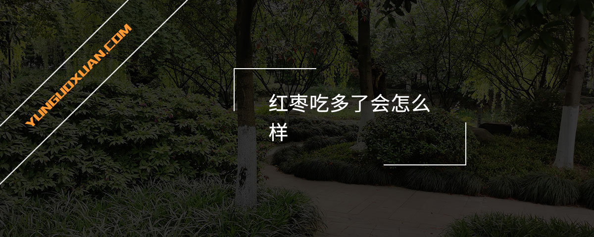 紅棗吃多了會(huì)怎么樣？