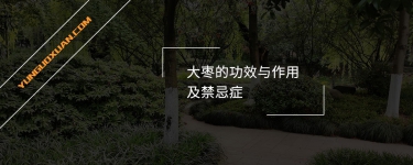 大棗的功效與作用及禁忌癥