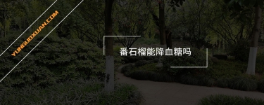 番石榴能降血糖嗎？