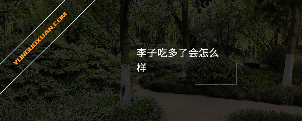 李子吃多了會怎么樣？