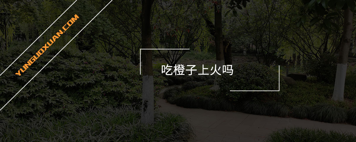 吃橙子上火嗎？