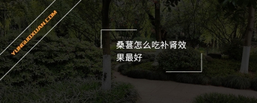 桑葚怎么吃補腎效果最好？
