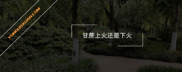 甘蔗上火還是下火？