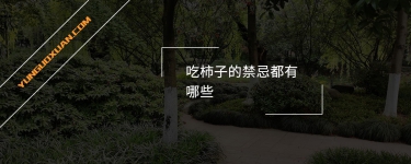 吃柿子的禁忌都有哪些？