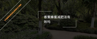 香蕉蜂蜜減肥法有效嗎？