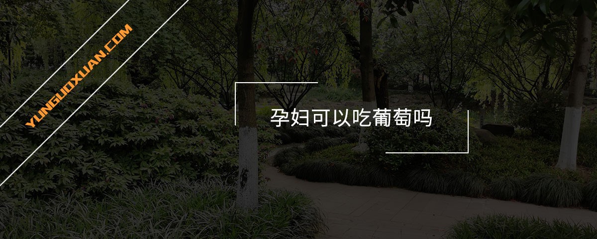 孕婦可以吃葡萄嗎？