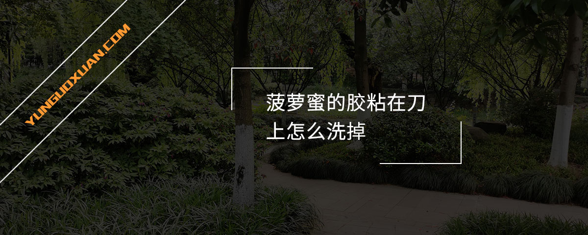 菠蘿蜜的膠粘在刀上怎么洗掉？
