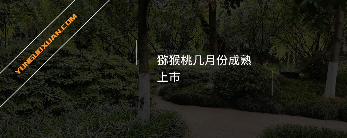 獼猴桃?guī)自路莩墒焐鲜校? width=