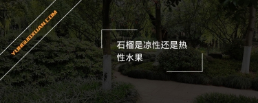 石榴是涼性還是熱性水果？