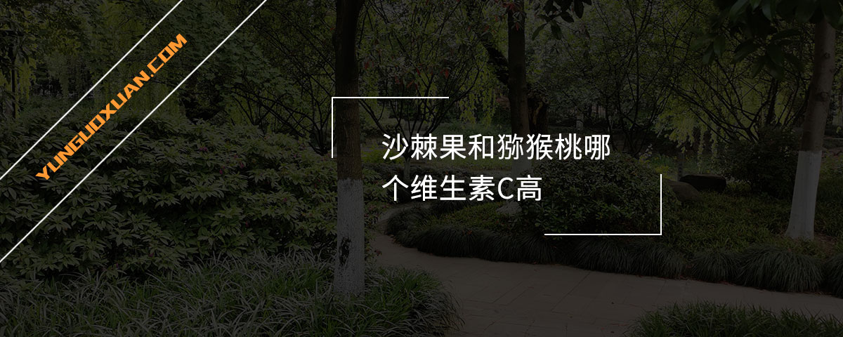 沙棘果和獼猴桃哪個(gè)維生素C高？