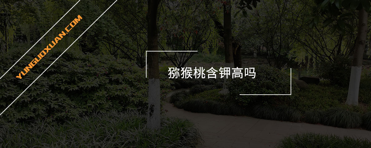 獼猴桃含鉀高嗎？