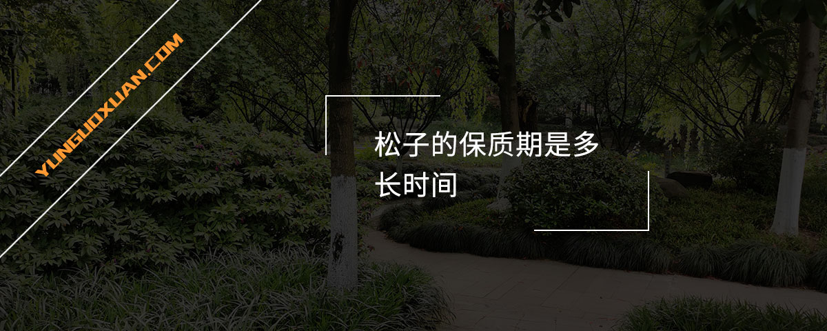 松子的保質(zhì)期是多長時(shí)間？