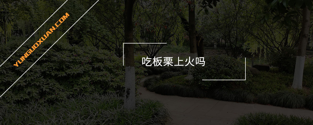 吃板栗上火嗎？