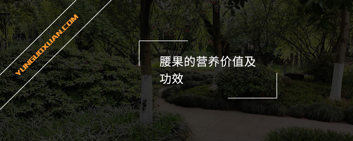 腰果的營(yíng)養(yǎng)價(jià)值及功效