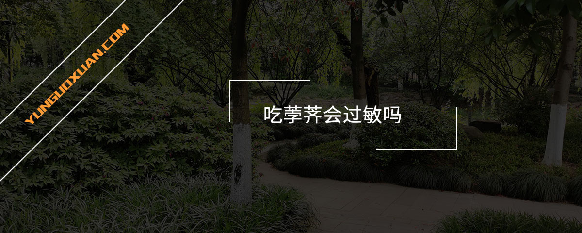 吃荸薺會(huì)過敏嗎？