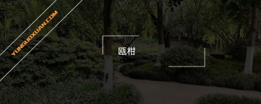 甌柑