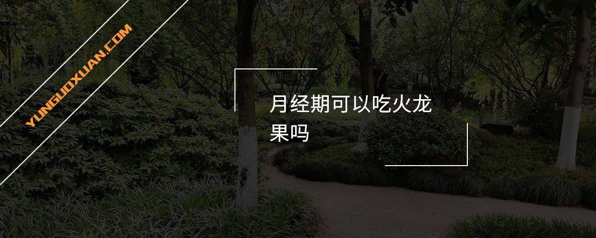 月經(jīng)期可以吃火龍果嗎？