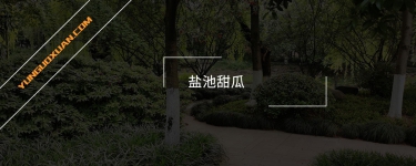 鹽池甜瓜