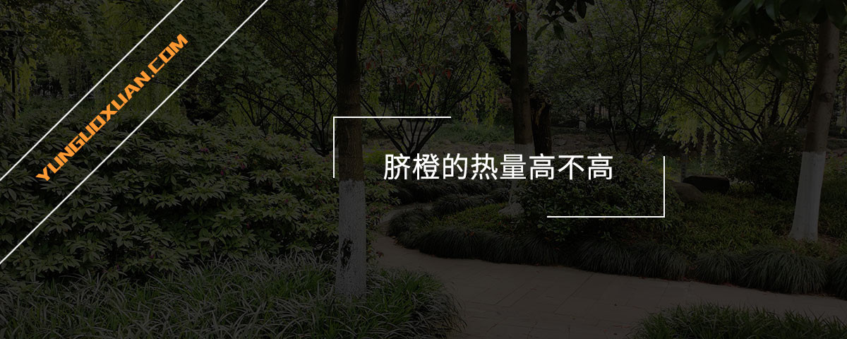 臍橙的熱量高不高？