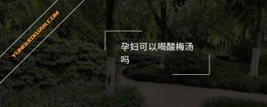 孕婦可以喝酸梅湯嗎?